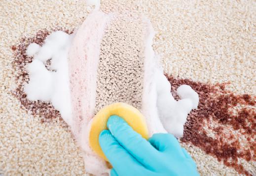 Stain and Odor Removal in Marietta